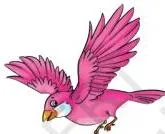 To fly like a bird.