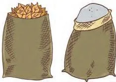 Take two paper bags of same size.