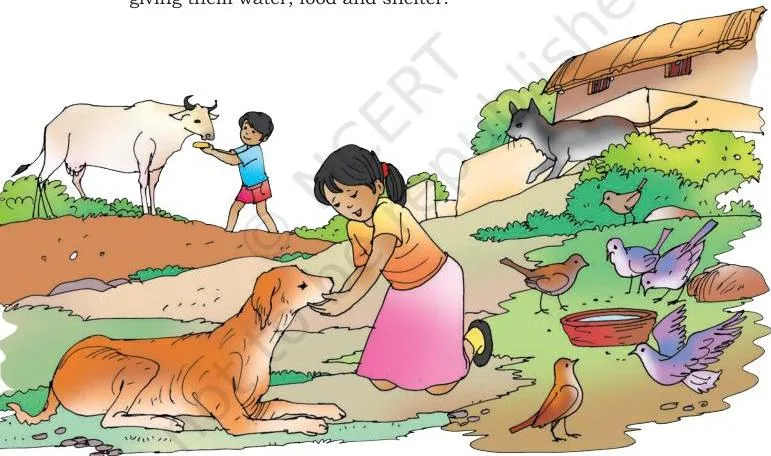 We take care of some animals and plants in our homes by giving them water, food and shelter.