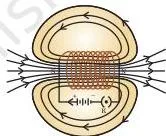 Field lines of the magnetic field through and around a current carrying solenoid.