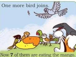 One more bird joins.