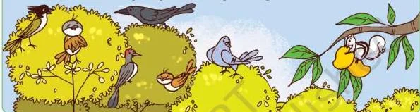 The birds are watching a squirrel eating a mango.
