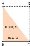 A triangle enclosed inside a rectangle of the same base and height, split so the triangle occupies exactly half of the rectangle