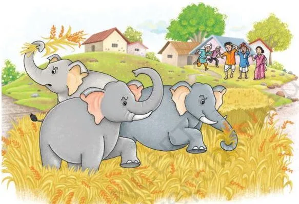 It's not easy having Elephants in your backyard.