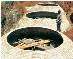 A biogas plant with a dome-shaped digester tank, the gobar gas unit that gives rural farmers both fuel and improved manure