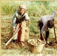 Krishak Cooperative provides loans for the purchase of agricultural implements, loans for cultivation and agricultural trade, fishery loans, loans for construction of houses and for a variety of…