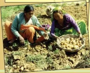 Rama is working in a neighbouring field.