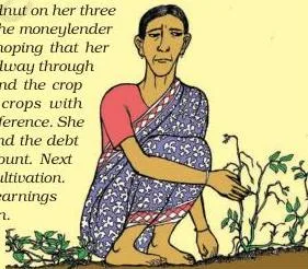 Swapna, a small farmer, grows groundnut on her three acres of land.