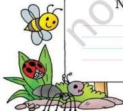 Now write your name here