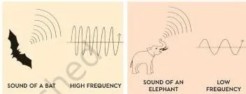 Musical Instruments Class 8 — frequency is the number of vibrations per second