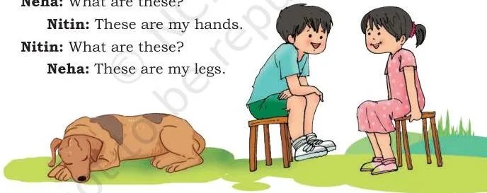 Neha: These are my legs.