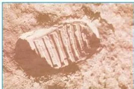 A single human footprint pressed into dusty ground, the Fun Time picture puzzle asking whose footprint it is, with a hint about the first man on the moon