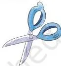 1. a pair of ...