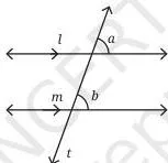 Has a pair of parallel lines $l$ and $m$ (what is the notation used in the figure to indicate they are parallel?).