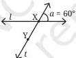 Step 3: Mark a point Y on line $t$.