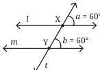 Step 4: Draw a line $m$ through point Y that forms a $60^\circ$ angle to line $t$.