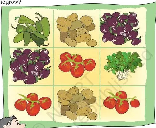 Ramu's vegetable field has 9 equal parts.