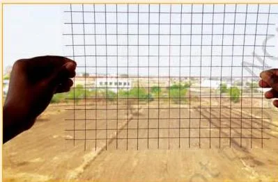 Viewing a scene through a grid to compare how the angles of near lines differ from the angles of far lines