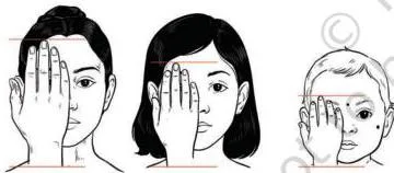 A marked diagram of the human body showing the head used as the unit for measuring the ratios of other body parts