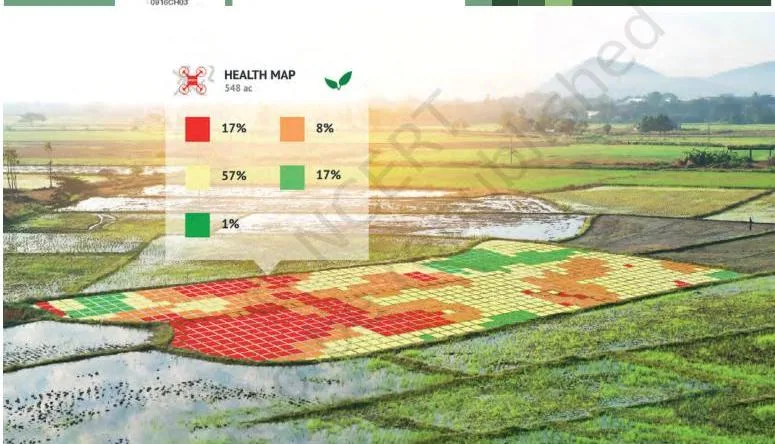 A remote-sensing field map used in a Class 9 precision farming project, coloured from red for worst crop health to green for best