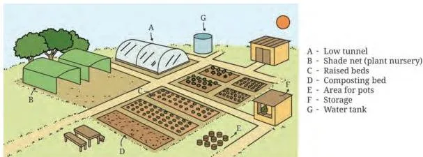 A labelled plan of a small precision farming unit with raised beds, a low-tunnel, a pot area, water tank and storage
