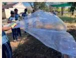 Setting up a low-tunnel for precision farming