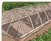 Building the low-tunnel frame from curved bamboo or metal rods fixed over a plant bed