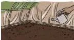 Covering the low-tunnel frame with transparent polyethylene sheets to trap heat and moisture