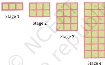 Four stages of a green square pattern that doubles at each stage, giving the counts 3, 6, 12, 24