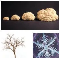 Photographs of natural fractals such as broccoli, snowflakes and coastlines, shapes that repeat at smaller scales