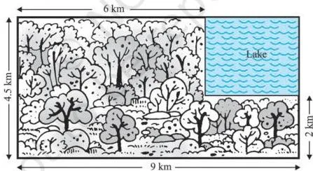Example 11\* : A missing helicopter is reported to have crashed somewhere in the rectangular region shown in Fig. 14.2.