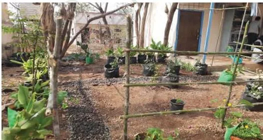 A habitat garden in the making with marked beds, showing that the sketch is followed by actual digging and planting
