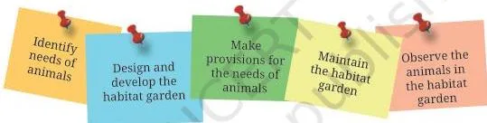 A school habitat garden being created for animals, with plants and shelters added to meet their needs