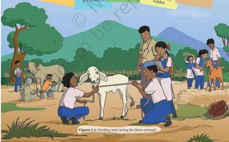 Feeding and caring for farm animals
