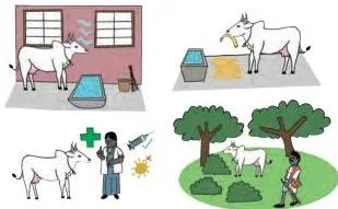 A clean animal shelter with feed, water and protection from weather, illustrating the four essentials of animal care