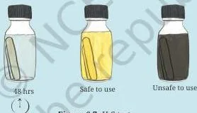 The H2S test kit used to check drinking water for bacterial contamination, with the test bottle showing the colour change after 24 to 28 hours