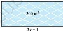 Then, its length should be $(2x + 1)$ metres. We can depict this information pictorially as shown in Fig. 4.1.