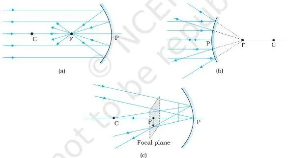 Focus of a concave and convex mirror.