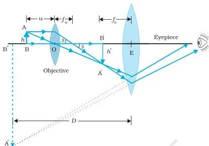Compound microscope ray diagram where the objective forms a real magnified image that the eyepiece enlarges into a final virtual image for the eye
