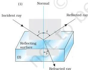 Refraction and reflection of light.