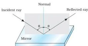 The incident ray, reflected ray and the normal to the reflecting surface lie in the same plane.