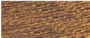 Photograph of alluvial soil, the crumbly sand-silt-clay mixture of the northern plains