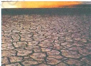 Photograph of dark black cotton soil, sticky clay that holds moisture, typical of the Deccan trap region
