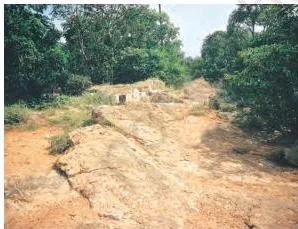 Photograph of reddish laterite soil, the brick-like leached soil of monsoon climates