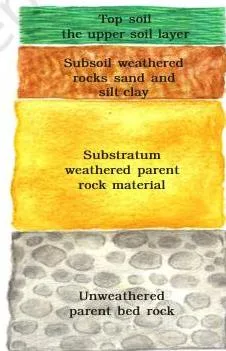 Vertical cross-section of a soil profile showing layers from humus-rich surface to weathered rock beneath