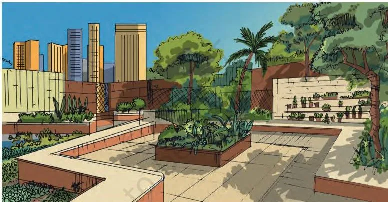A rooftop garden with shade trees, heavy containers along the roof edge, a walking pathway and a pot rack, showing the finished layout the chapter teaches