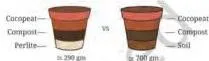 Two equal one-litre pots weighed side by side, showing a lighter cocopeat-compost-perlite mix against a heavier mix made with soil