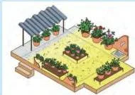 A simplified representation of a rooftop garden showing pots and plants arranged across the roof in different areas