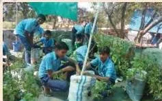Students of the Go-Green team setting up their rooftop garden by placing containers and planting material on the roof
