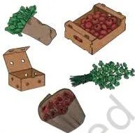 Rooftop produce packed three ways: leafy greens in damp cloth, fruit in a ventilated box and herbs tied in labelled bunches
